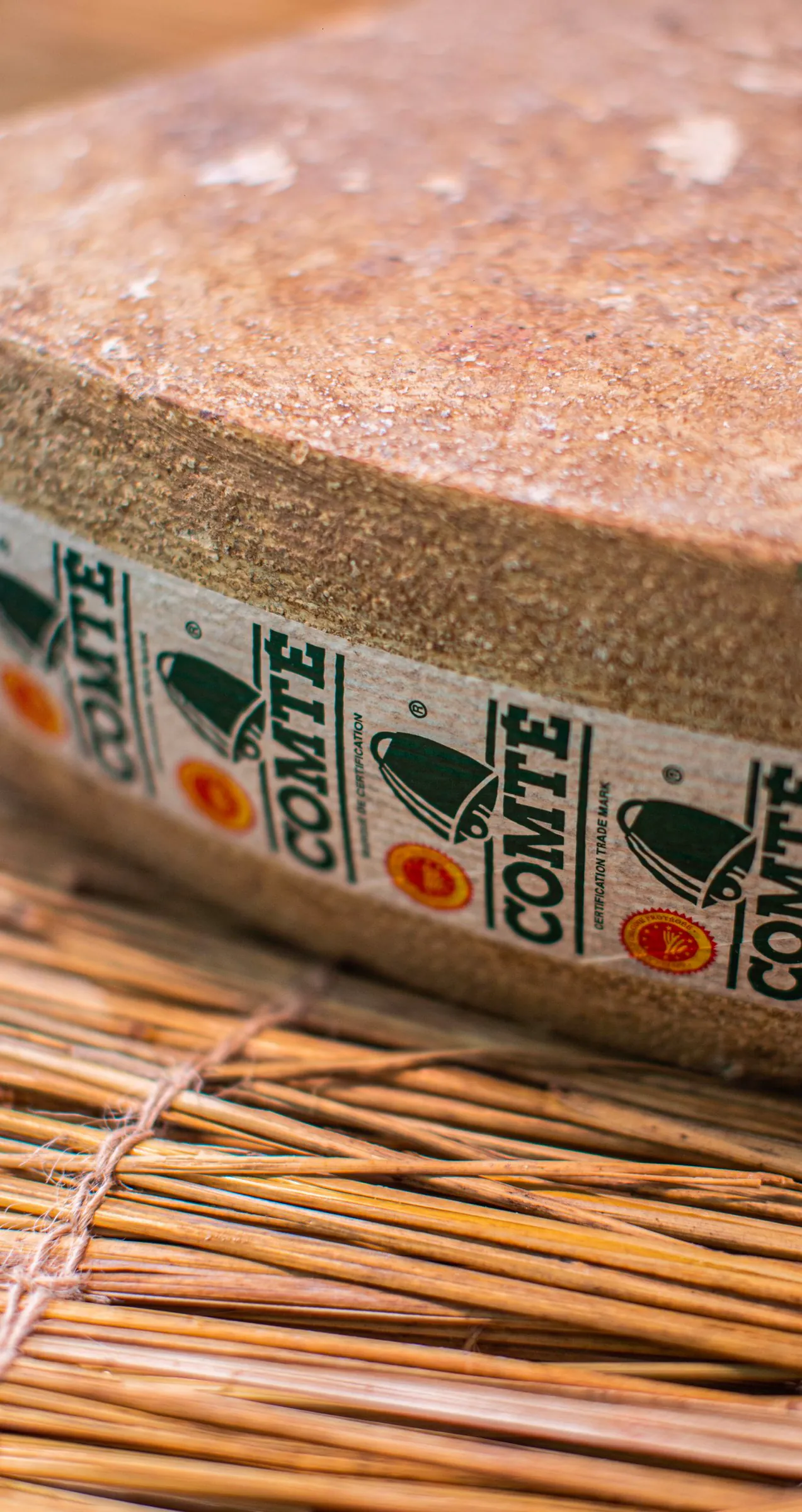 Meule de comté AOP entamée, posée sur un lit de paille